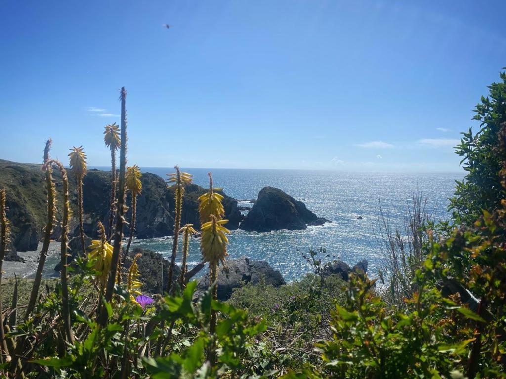 Casa Do Brejao Campo E Praia Odemira Exteriér fotografie
