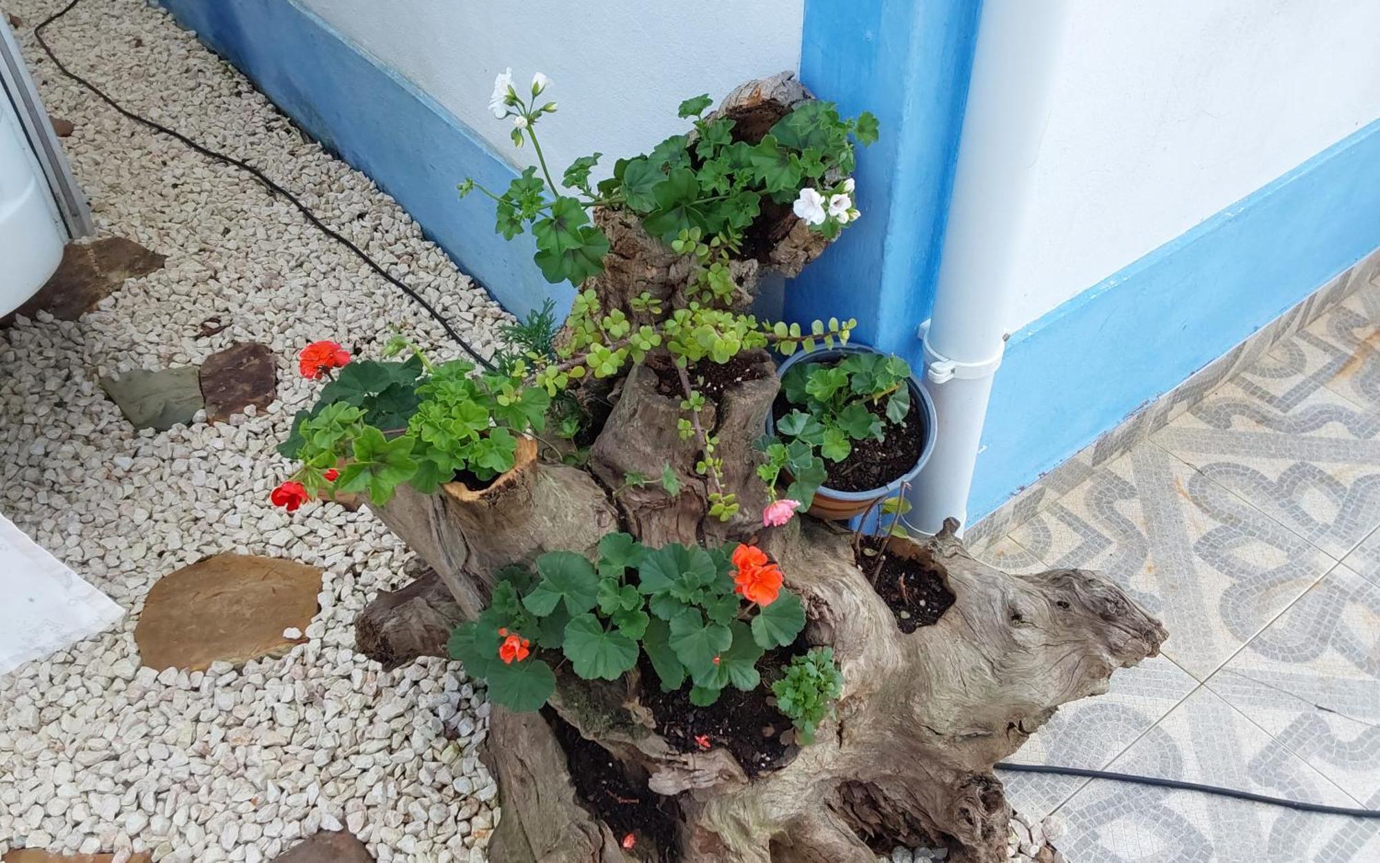 Casa Do Brejao Campo E Praia Odemira Exteriér fotografie