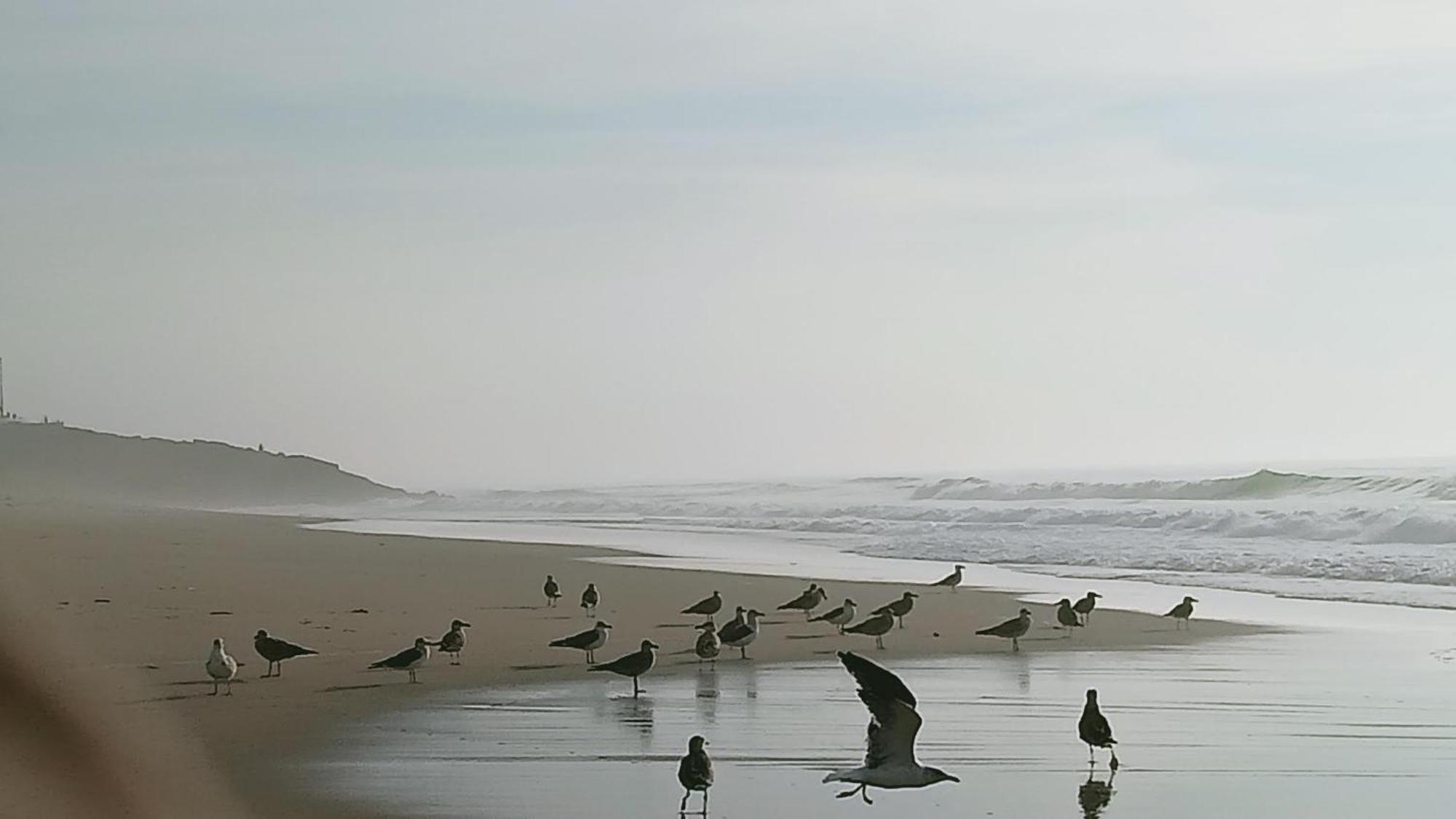 Casa Do Brejao Campo E Praia Odemira Exteriér fotografie